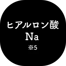 ヒアルロン酸Na※5